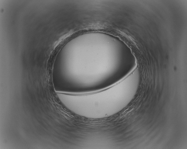 X0000067521160200604071017