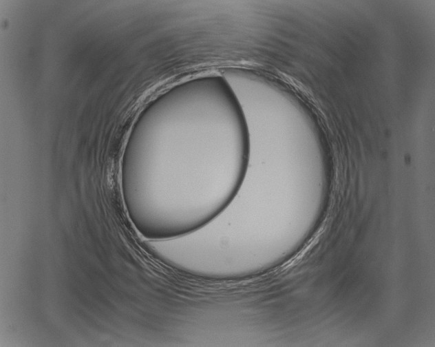 X0000067521161200604071017