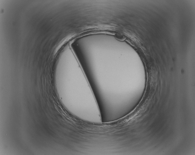 X0000067521163200604071017