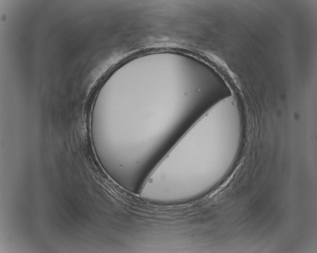 X0000067521167200604071017