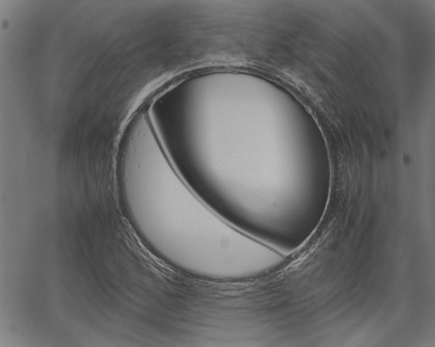X0000067521168200604071017