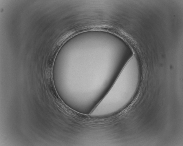 X0000067521169200604071017
