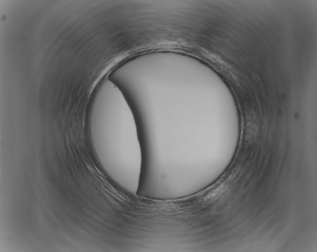 X0000067521170200604071017