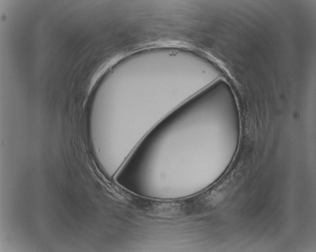 X0000067521171200604071017