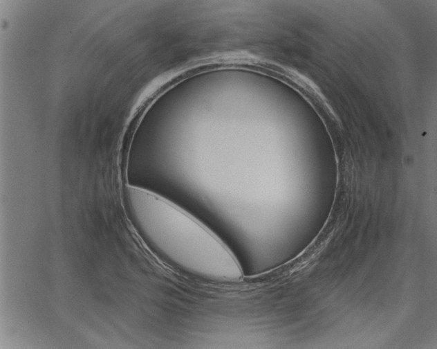 X0000067521176200604071017