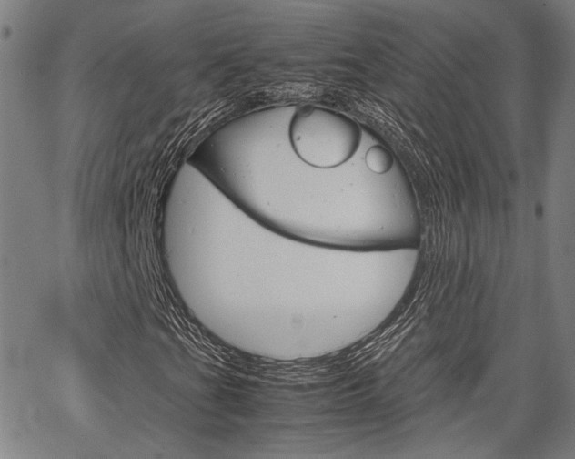 X0000067521201200604071015