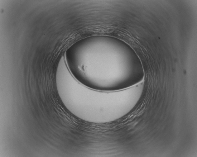 X0000067521202200604071015