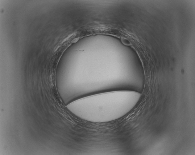 X0000067521205200604071015