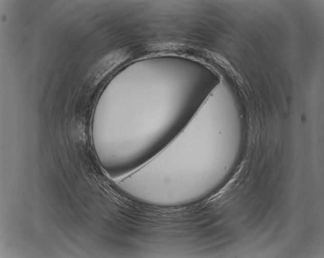 X0000067521209200604071015