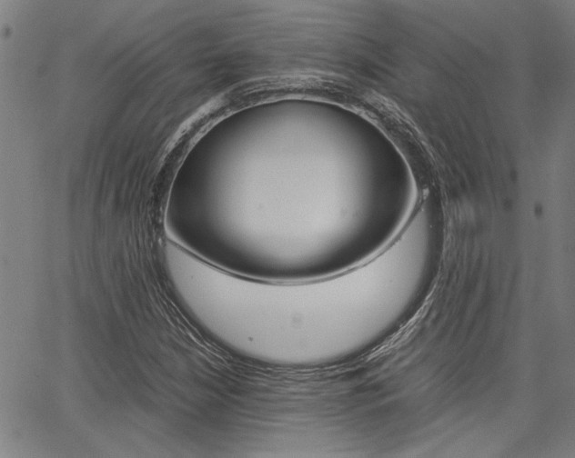 X0000067521210200604071015