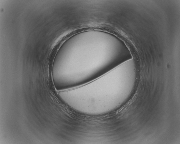 X0000067521214200604071015