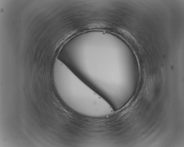 X0000067521217200604071016
