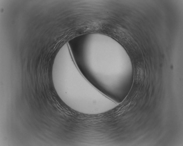 X0000067521250200604071015