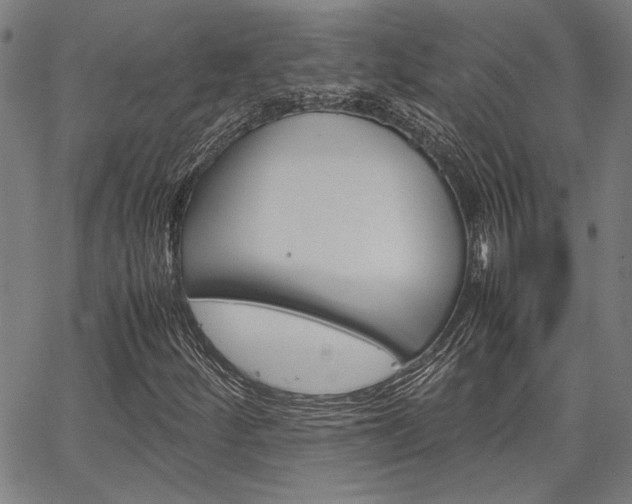 X0000067521252200604071015