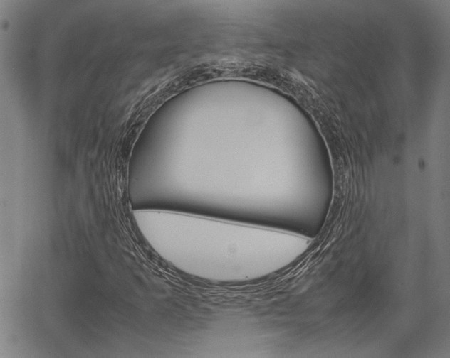 X0000067521253200604071015