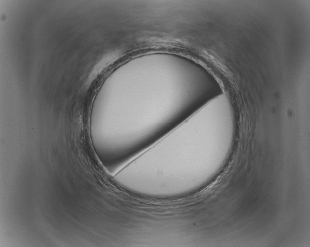 X0000067521261200604071015