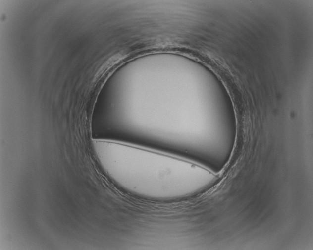 X0000067521265200604071015