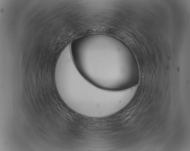 X0000067521298200604071014