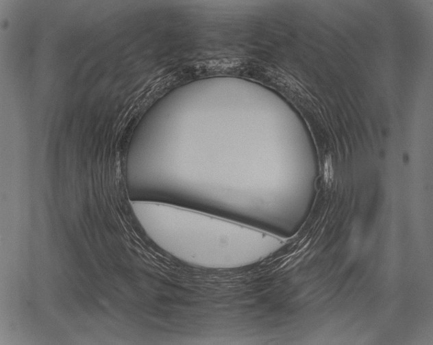 X0000067521299200604071014