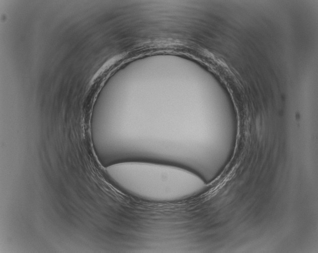 X0000067521306200604071014