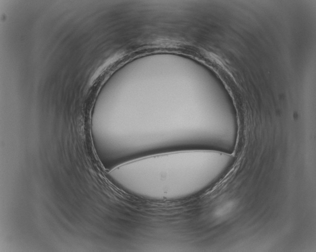 X0000067521307200604071014
