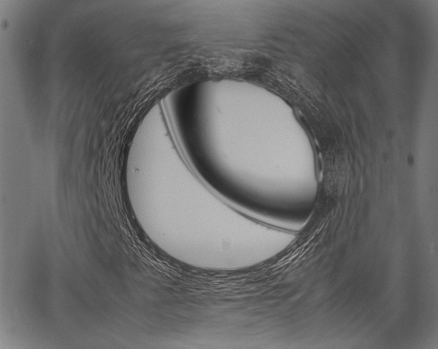 X0000067521345200604071014