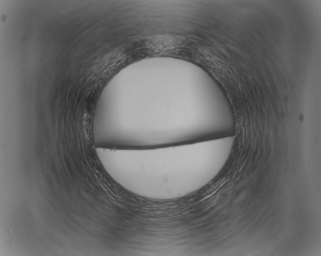 X0000067521346200604071014
