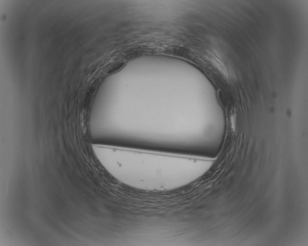 X0000067521347200604071014