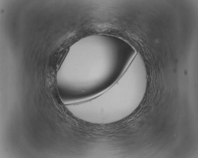 X0000067521349200604071014