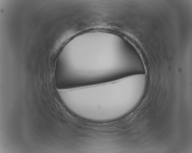 X0000067521359200604071013