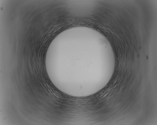 X0000067521394200604071012