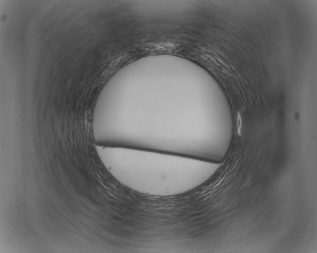 X0000067521395200604071012