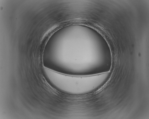 X0000067521402200604071012