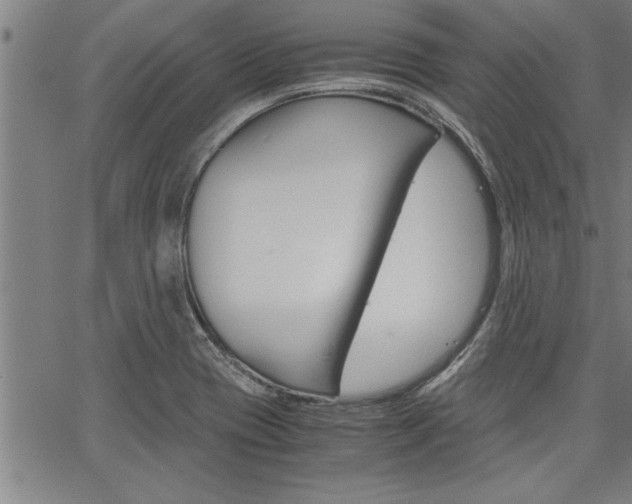 X0000067521417200604071013
