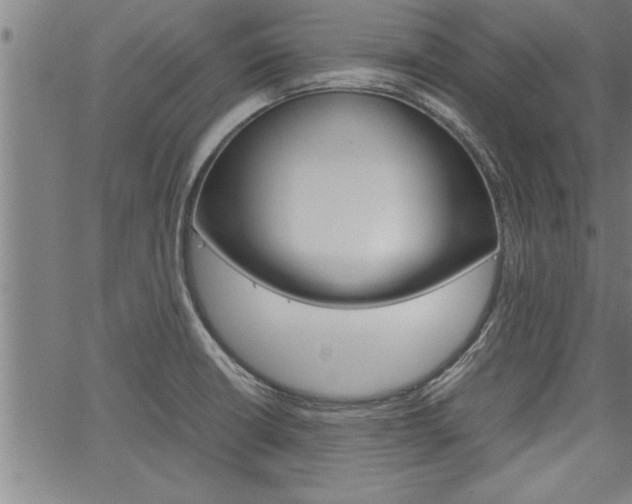 X0000067521426200604071013