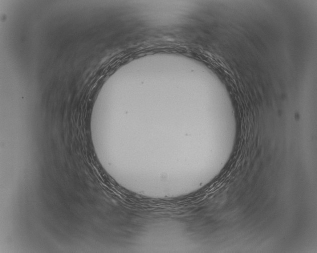 X0000067521445200604071012