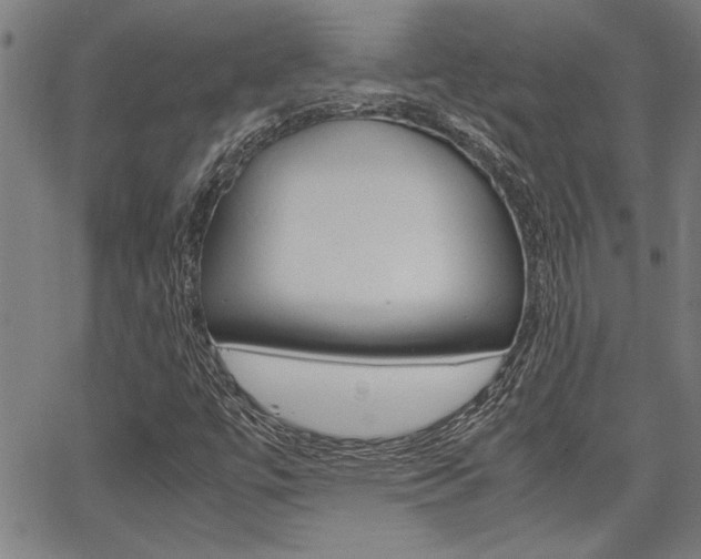 X0000067521447200604071012