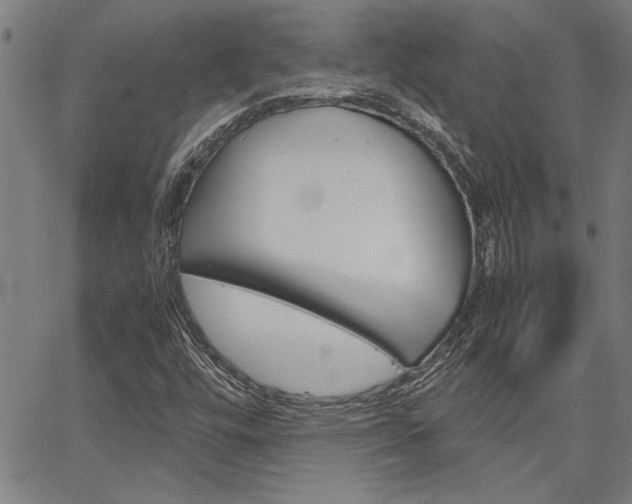 X0000067521448200604071012