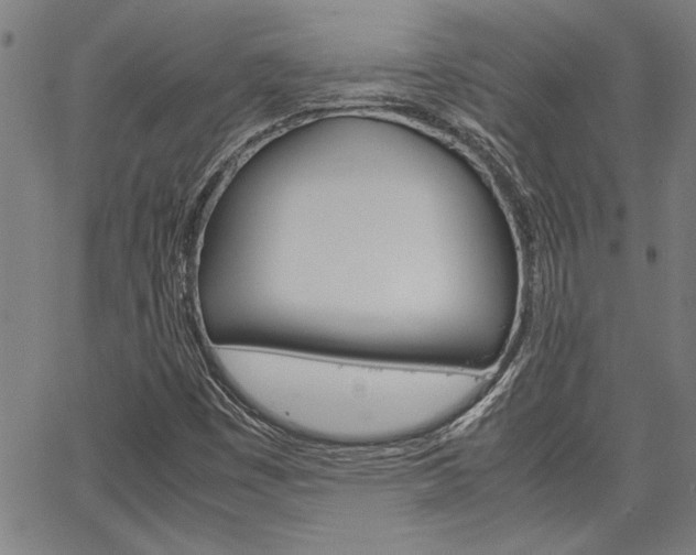 X0000067521449200604071012