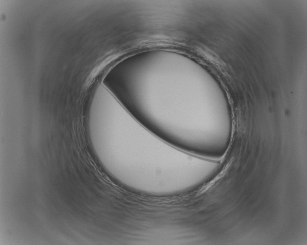 X0000067521453200604071012