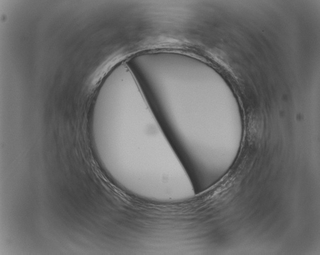 X0000067521455200604071012