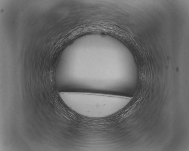 X0000067521490200604071011