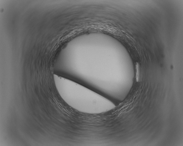 X0000067521491200604071011