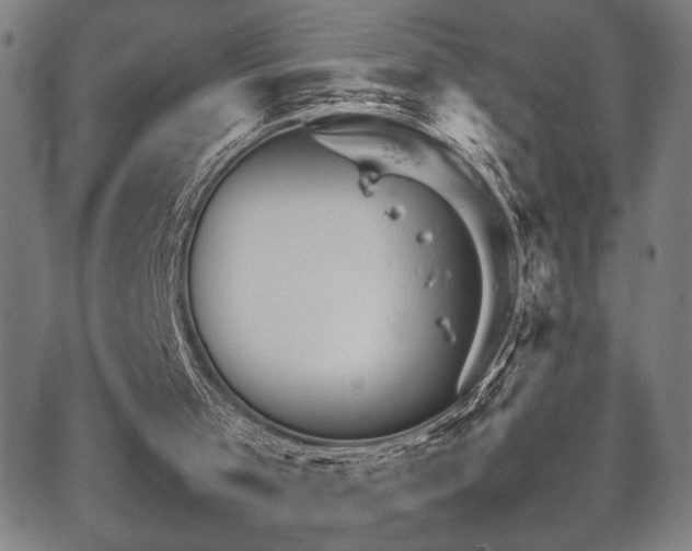 X0000067520001200604071333