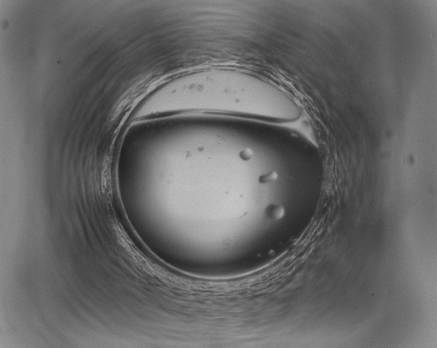 X0000067520002200604071333