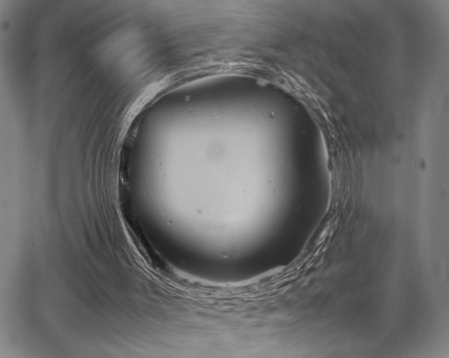 X0000067520003200604071333