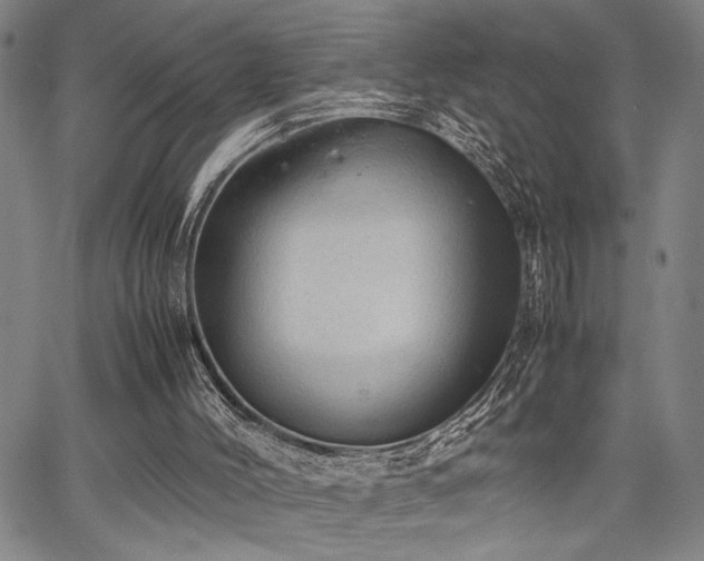 X0000067520004200604071333