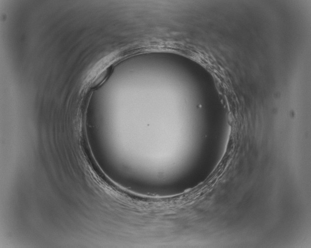 X0000067520005200604071333