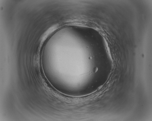 X0000067520006200604071333