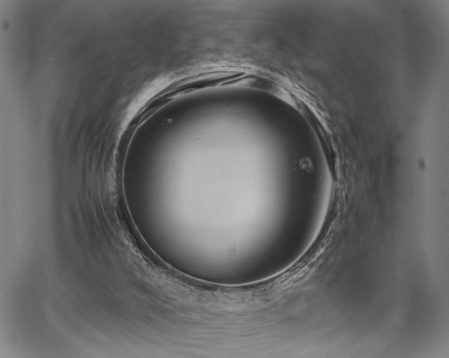 X0000067520008200604071333